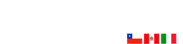 Vigorfluss